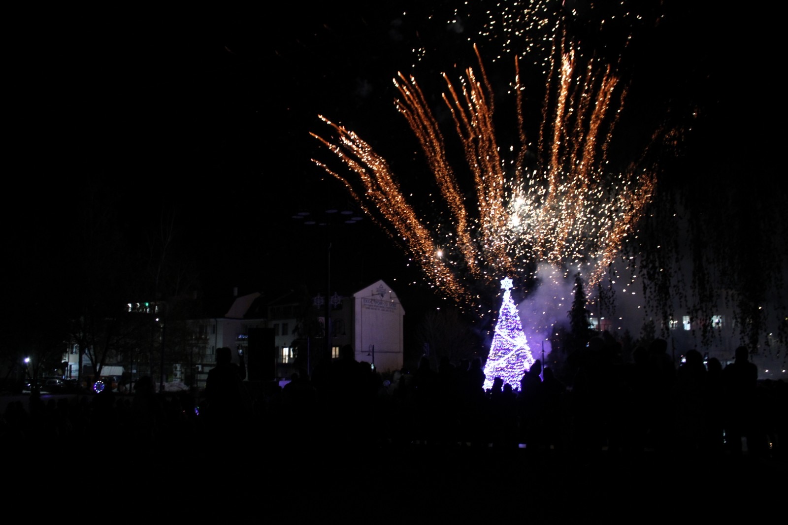 Запалването на светлините на коледната елха