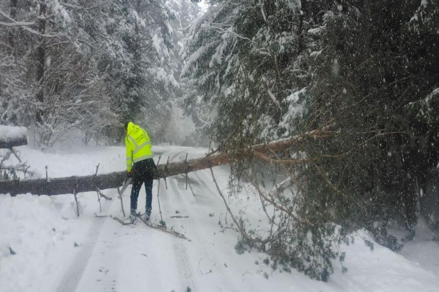 През последните месеци Аварийното звено за помощ и превенция към Община Самоков доказа своята ключова роля в осигуряването на бърза реакция и навременно решаване на различни проблеми в градската среда