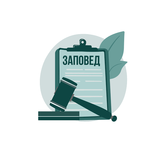 Заповед вх.№ ОС2448/07.07.2026г.