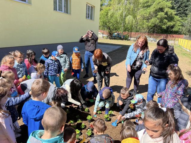 Децата от детските градини засадиха своите цветя в двора на детските заведения
