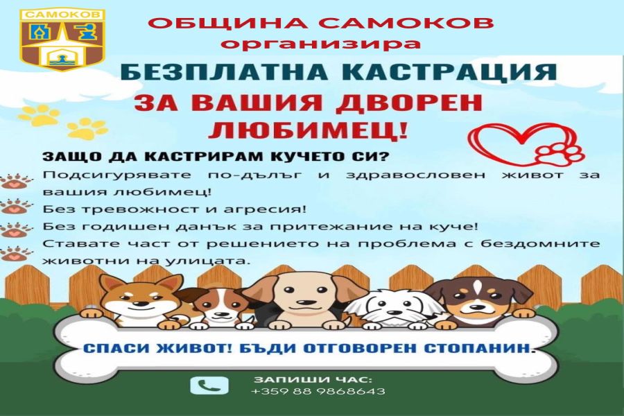 Безплатна кастрация на дворни кучета на територията на Община Самоков
