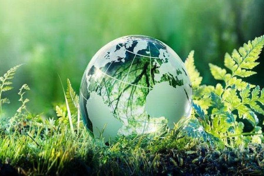 МОСВ обяви началото на Национална кампания „Чиста околна среда“ за 2025 година, финансирана от ПУДООС