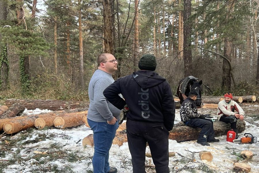 Самоков стартира дейности по сечене на опасни дървета и премахване на паднали дървета, пострадали вследствие на тежкия и мокър сняг през миналия месец