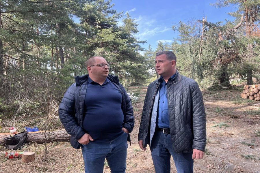 Кметът на Община Самоков, инж. Ангел Джоргов, инспектира процеса на санитарната сеч и почистването на падналите дървета в парк „Ридо“ след зимния сезон